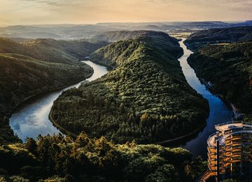 Blick auf die Saarschleife