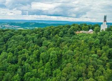 Blick auf den Schaumberg mit dem darauf gipfelnden Schaumbergturm